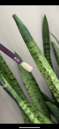 GRAPE  Камуфлирующая база  FRENCH   №26   15мл   Limited